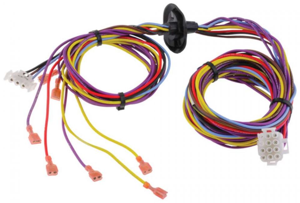 Ruud 45-102706-06 Wiring Harness