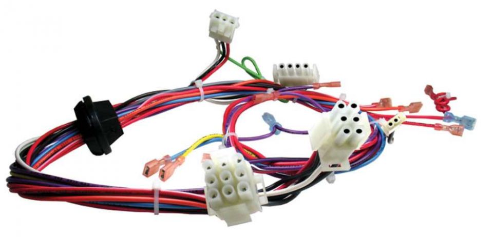 Ruud 45-24089-06 Wiring Harness