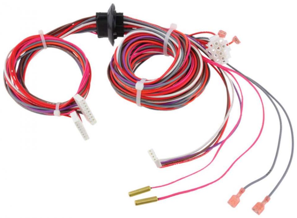 Ruud 45-42522-107 Wiring Harness