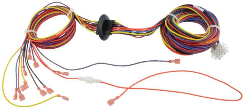 Ruud 45-42522-88 Wiring Harness