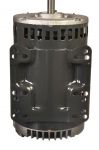 Ruud 51-42369-02 Blower Motor 1 1/2 HP 208-230-380-415-460/3 1725 RPM 1 Speed