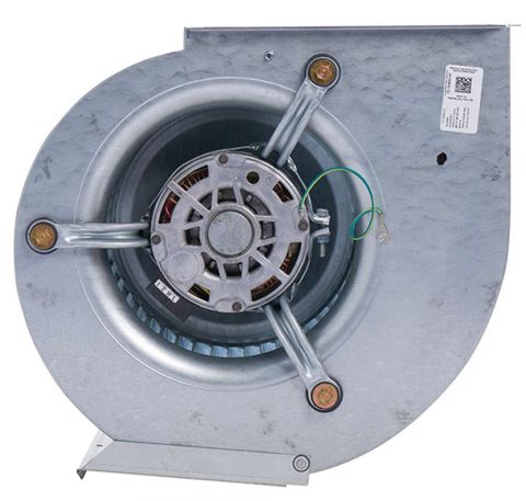 Ruud AS-100841-01 Blower Assembly