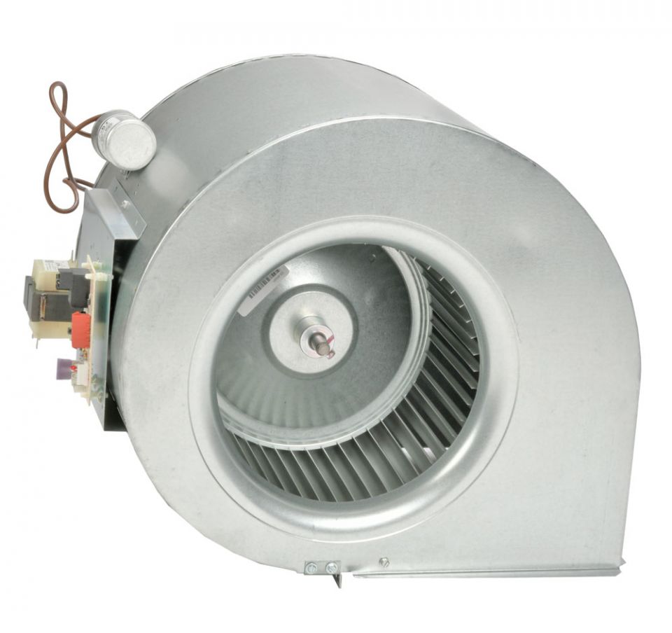 Ruud AS-101929-81 Blower Assembly