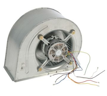 Ruud AS-104887-03 Blower Assembly
