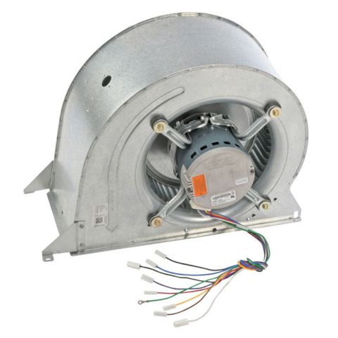 Ruud AS-105500-07 Blower Assembly